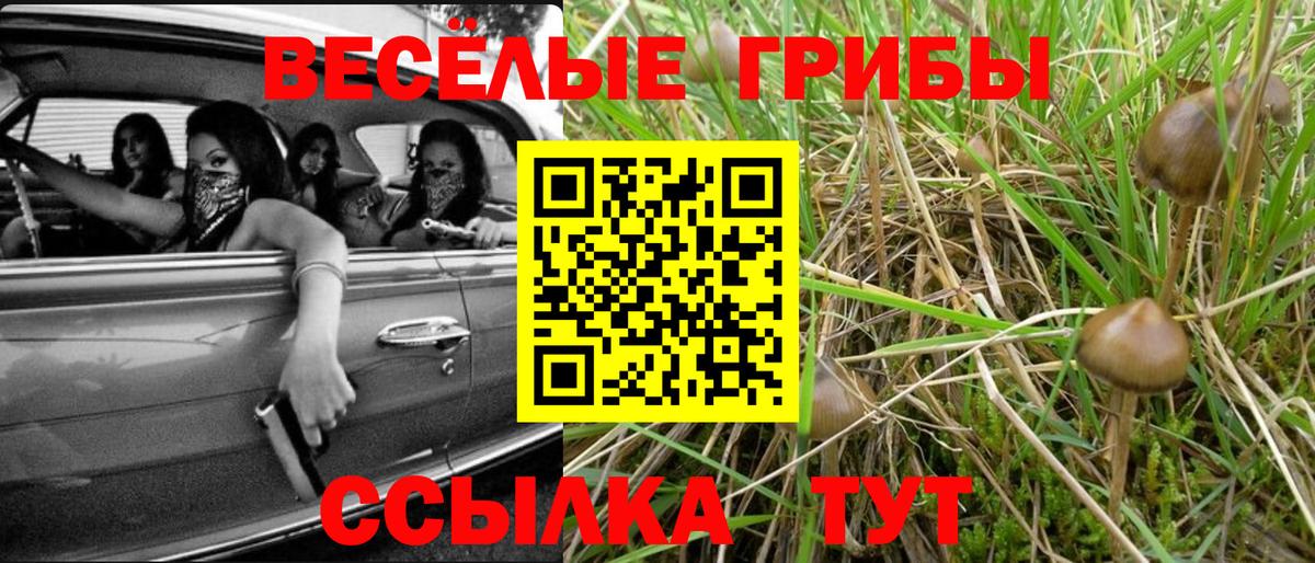 Галлюциногенные грибы Cubensis Сыктывкар