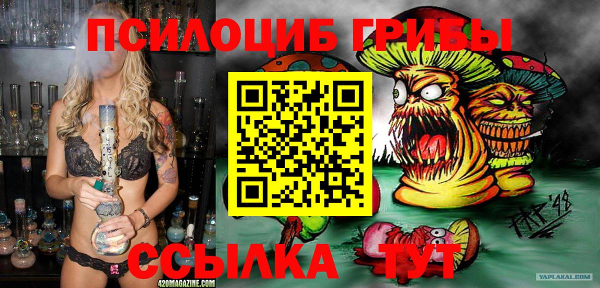 Сыктывкар  Псилоцибиновые грибы GOLDEN TEACHER  закладка  Вход с VPN 